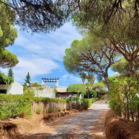 Charming House In Quarteira With Garden View And Terrace *